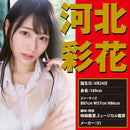 EXE(日本) JAPANESE REAL HOLE 激 河北彩花 飛機杯