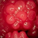 NPG(日本)霧島櫻 (霧島さくら) 名器偷情淫妻的淫汁 飛機杯