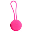 VNEW(美國) Kegel 收陰球 [不同等級選擇]