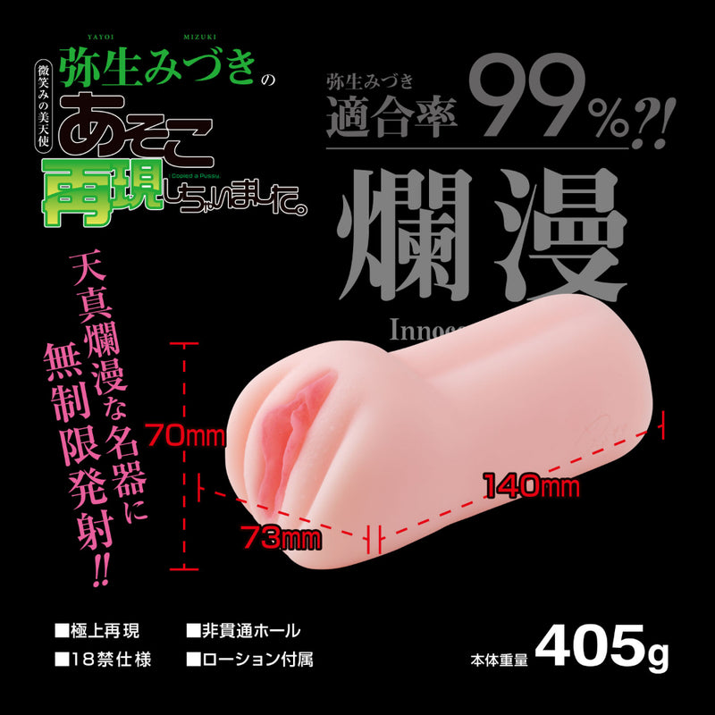 HMP(日本) 弥生みづき 極上再現 飛機杯