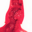 NPG(日本) 淫賤人妻舌技 水野朝陽 口交自慰杯