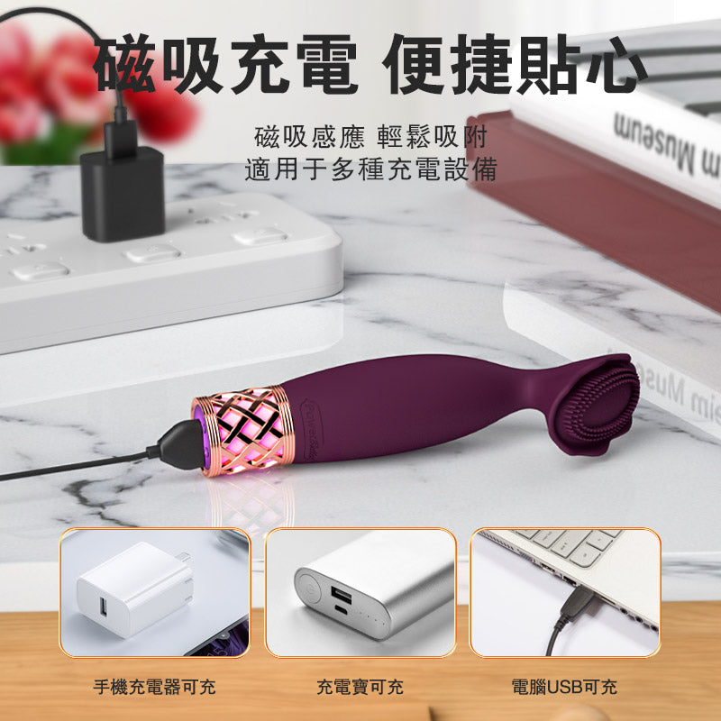 Pillow Talk(加拿大) Secrets Passion Massager 迷你震動棒