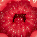 NPG(日本)霧島櫻 (霧島さくら) 名器偷情淫妻的淫汁 飛機杯