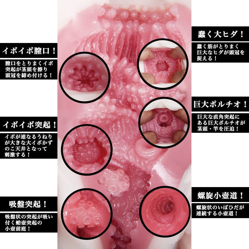 NPG(日本) 名器之証明011-高橋しょう子 (高橋聖子) 自慰杯