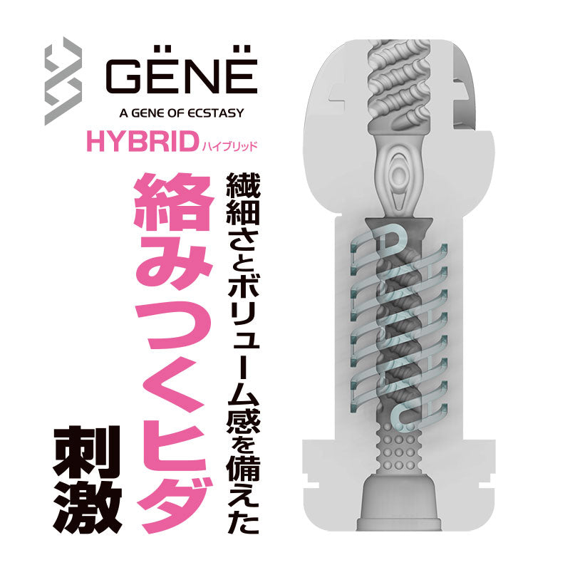 Kuudom(日本) GENE – 自慰杯 橙色/藍色/紫色