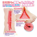 LOVE FACTOR(日本) 純情女孩 飛機杯