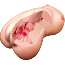 Magic Eyes(日本) 純潔新娘處X宮-SATORI 自慰杯