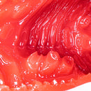 NPG(日本) 激真空口淫-松本一香 (松本いちか) 自慰杯