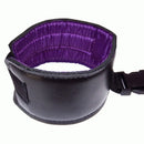 SSI Japan(日本) 絶對SM強制開腿帶