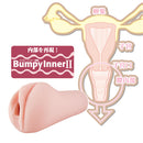 Toys Heart(日本) 17歲 波爾多 軟版 新版 飛機杯