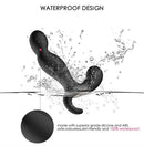 EROCOME ORION 獵戶座前列腺後庭震動器